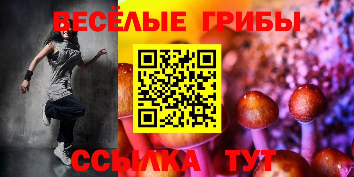 Сланцы  Псилоцибиновые грибы Psilocybe  Псилоцибиновые грибы Psilocybine cubensis  Вход с VPN 